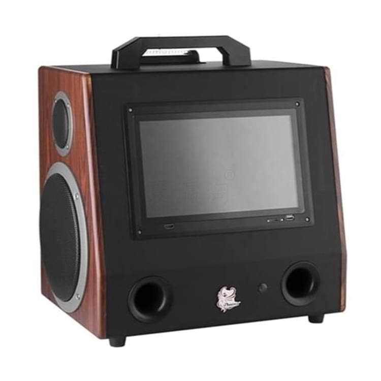 艾菲尼斯多功能視頻音響